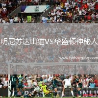 明尼蘇達山貓VS華盛頓神秘人