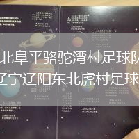 河北阜平駱駝灣村足球隊VS遼寧遼陽東北虎村足球隊
