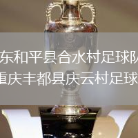 廣東和平縣合水村足球隊VS重慶豐都縣慶云村足球隊