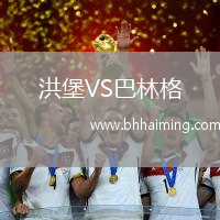洪堡VS巴林格