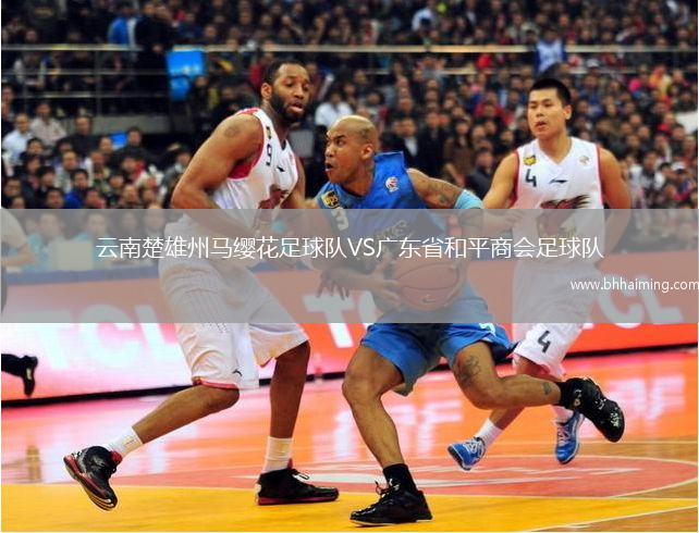 云南楚雄州馬纓花足球隊VS廣東省和平商會足球隊