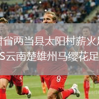 甘肅省兩當縣太陽村薪火足球隊VS云南楚雄州馬纓花足球隊