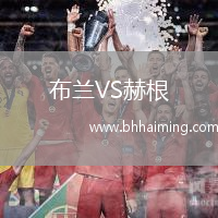 布蘭VS赫根