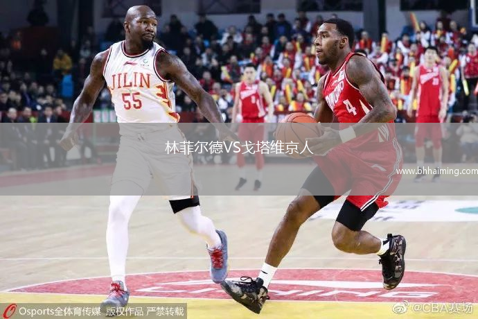林菲爾德VS戈塔維京人