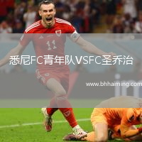悉尼FC青年隊VSFC圣喬治
