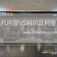 幾內亞VS阿爾及利亞