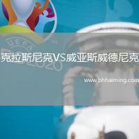 克拉斯尼克VS威亞斯威德尼克