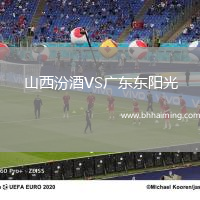 山西汾酒VS廣東東陽光
