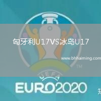 匈牙利U17VS冰島U17