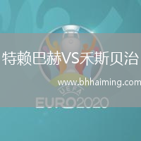 特賴巴赫VS禾斯貝治