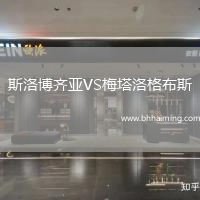 斯洛博齊亞VS梅塔洛格布斯