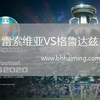 雷索維亞VS格魯達(dá)茲