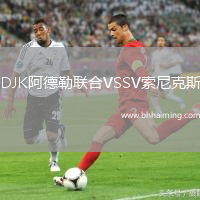 DJK阿德勒聯(lián)合VSSV索尼克斯