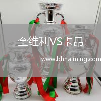 奎維利VS卡昂