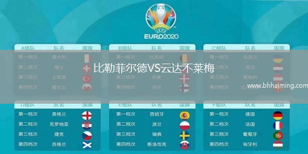 比勒菲爾德VS云達不萊梅