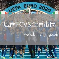 城南FCVS金浦市民