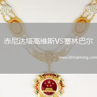 赤尼達塔高維斯VS塞林巴爾