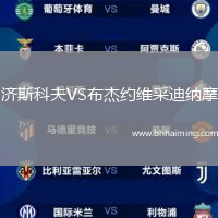 濟斯科夫VS布杰約維采迪納摩