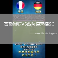 富勒姆聯(lián)VS西阿德萊德SC