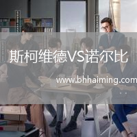 斯柯維德VS諾爾比