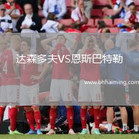 達森多夫VS恩斯巴特勒