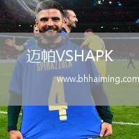 邁帕VSHAPK