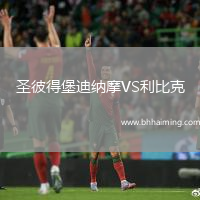 圣彼得堡迪納摩VS利比克