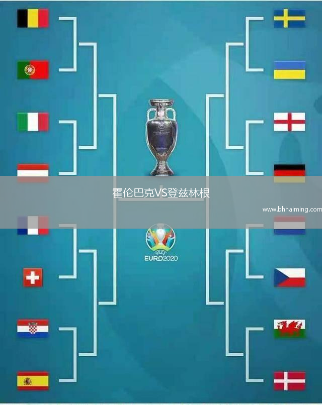霍倫巴克VS登茲林根