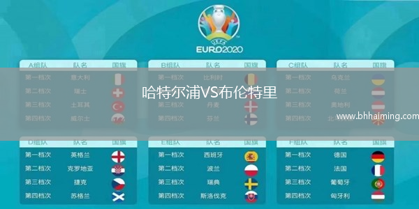 哈特爾浦VS布倫特里