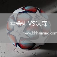 霍舍姆VS沃森