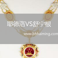 耶德洛VS舒寧根
