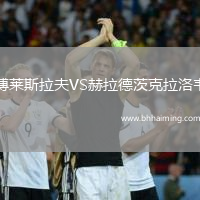 博萊斯拉夫VS赫拉德茨克拉洛韋