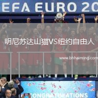 明尼蘇達(dá)山貓VS紐約自由人