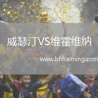 威瑟汀VS維霍維納