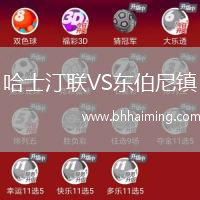 哈士汀聯(lián)VS東伯尼鎮(zhèn)