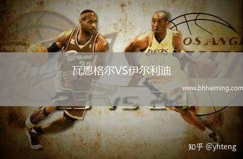 瓦恩格爾VS伊爾利迪