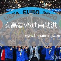 安高曼VS迪南勒洪