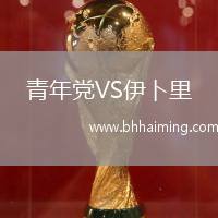 青年黨VS伊卜里