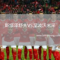 斯塔澤舒夫VS涅波沃米采
