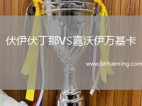 伏伊伏丁那VS嘉沃伊萬基卡