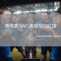 泰克索馬VS查塔努加紅狼