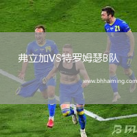 弗立加VS特羅姆瑟B隊