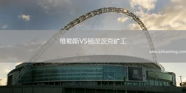 維勒斯VS頓涅茨克礦工