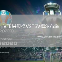 VFB洪貝格VSTSV梅爾布施