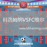科洛姆納VSFC維爾