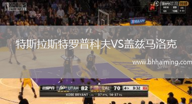 特斯拉斯特羅普科夫VS蓋茲馬洛克