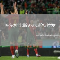 帕爾杜比斯VS俄斯特拉發