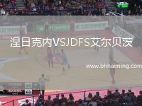 涅日克內(nèi)VSJDFS艾爾貝茨