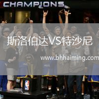 斯洛伯達VS特沙尼