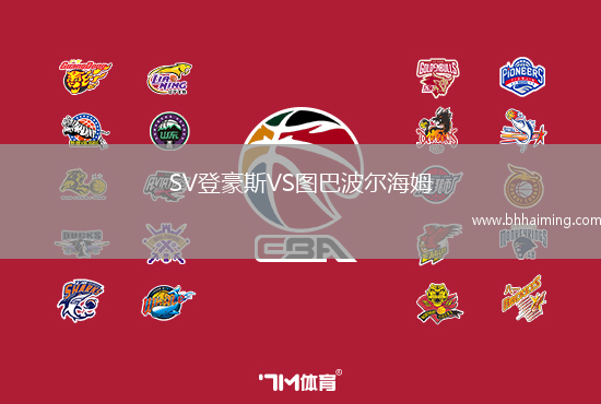 SV登豪斯VS圖巴波爾海姆